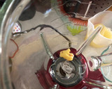 Foto del paso 1 de la receta: Pisco sour con jengibre