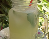 Foto del paso 4 de la receta: Limonada de pepino