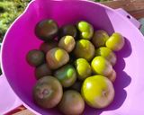 Foto del paso 1 de la receta: Verde de puerco al estilo sierra sur