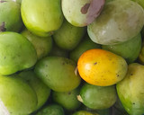 Foto del paso 1 de la receta: Fresco de Mango (cocido)