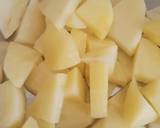 Punjabi Curry recipe step 2 photo