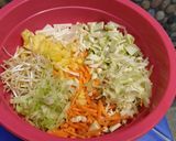 Foto langkah ke 1 dari resep Asinan sayur bogor... ala akyuuuu.