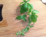 Foto del passaggio 4 della ricetta Gnocchetti di patate con gamberi argentini e pomodorini