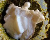 પાલકના થેપલા (Palak thepla recipe in Gujarati)) રેસીપી સ્ટેપ4ફોટો