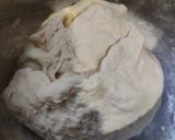 Foto del paso 5 de la receta: Masa de pizza del ahijado