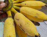 Foto langkah ke 3 dari resep Kolak Kacang Hijau Pisang.