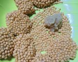 Foto langkah ke 2 dari resep Satu Adonan Aneka Nugget.