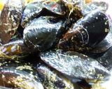 Foto del paso 5 de la receta: Mejillones con salsa de tomate y especias