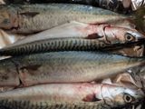 Caballa al horno