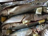 Caballa al horno