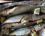 Foto del paso 3 de la receta: Caballa al horno