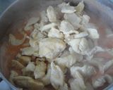 Foto del paso 8 de la receta: Pollo al estilo strogonoff