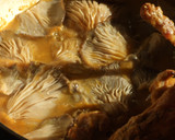 Foto del paso 10 de la receta: Conejo guisado con castañas y setas
