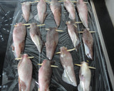 Foto del paso 5 de la receta: Chipirones rellenos y empanados