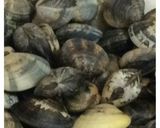 Foto del paso 1 de la receta: Almejas a mi manera con AMC