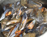 Foto del paso 1 de la receta: Mejillones con concassé de tomate