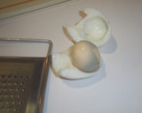 Foto del paso 6 de la receta: Espinacas con cabello de yema de huevo