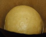 Foto del paso 4 de la receta: Pan dulce navideño sin frutas