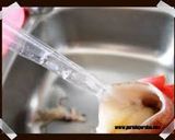 Foto del paso 1 de la receta: Rabas a la provenzal