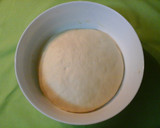 Foto del paso 2 de la receta: Pizza dos hemisferios 