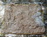 Foto del paso 2 de la receta: Tartitas con crema de atún, espárragos y mayonesa