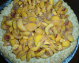 Foto del paso 2 de la receta: Pay de durazno casero