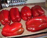 Foto del paso 1 de la receta: Pimientos asados en vinagreta