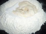 Facturas hojaldradas