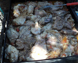 Foto del paso 6 de la receta: Discada de tierra y mar