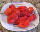 Foto del paso 3 de la receta: Bollitos de maíz para cuaresma