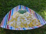 Ensalada de choclo, atún, arroz, rúcula y mayonesa