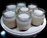 Foto del paso 3 de la receta Yogur casero con mermelada (en yogurtera)