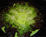 Foto del paso 1 de la receta: Ensalada de delicatessen