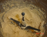Foto del paso 3 de la receta: Falso mousse de centollo (relleno para tartaletas)