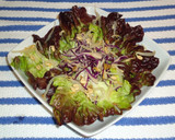 Foto del paso 3 de la receta: Ensalada de brotes de soja