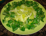 Foto del paso 3 de la receta: Refrescante de pollo queso y mango