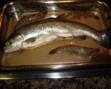 Foto del paso 1 de la receta: Truchas en salsa de langostinos