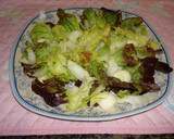 Foto del paso 3 de la receta: Ensalada crujiente con pollo y sésamo