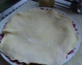 Foto del paso 8 de la receta: Chimichangas de carne horneadas