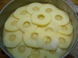 Bizcocho de manzanas amarillas