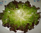 Foto del paso 2 de la receta: Ensalada con rollitos primavera