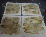 Foto del paso 5 de la receta: Cuadritos de hojaldre