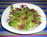 Foto del paso 1 de la receta: Ensalada de lechugas con salpicón de mariscos