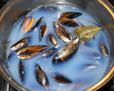 Foto del paso 1 de la receta: Sopa de mejillones con verdura
