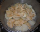 Foto del paso 2 de la receta: Pechuga de pollo con manzanas al curry