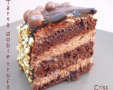Foto del paso 19 de la receta: Tarta doble trufa
