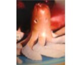 Foto del paso 2 de la receta: Pulpitos poll