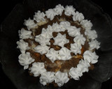 Foto del paso 5 de la receta: Postre café al coñac