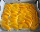 Foto del paso 7 de la receta: Bizcocho Streuselkuchen o pastel de migas