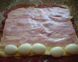 Foto del paso 4 de la receta: Matambre de gringa